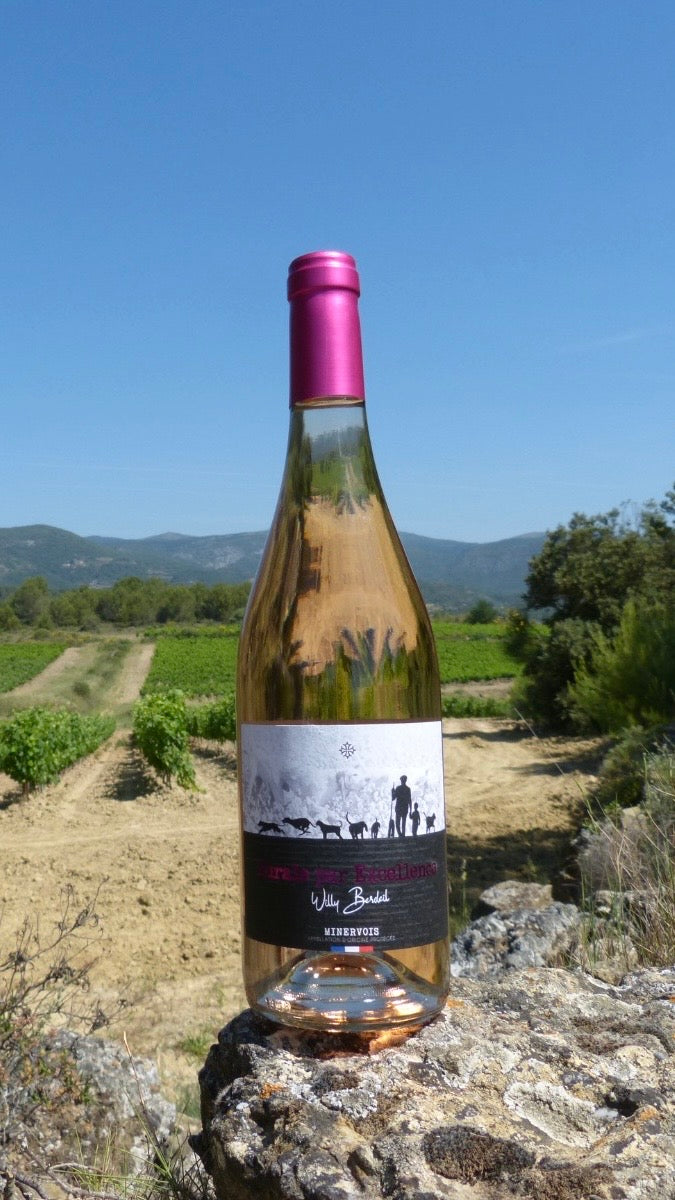 Vin ROSÉ : Carton de 6 x 75cl - édition limitée