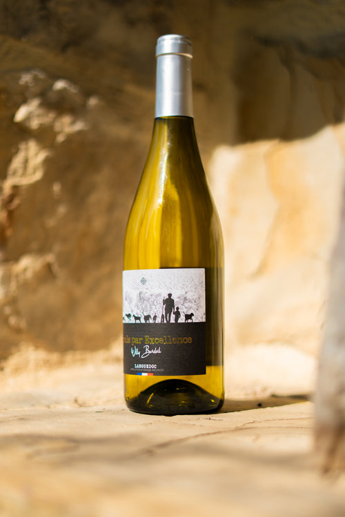 Vin BLANC : Carton de 12 x 75cl