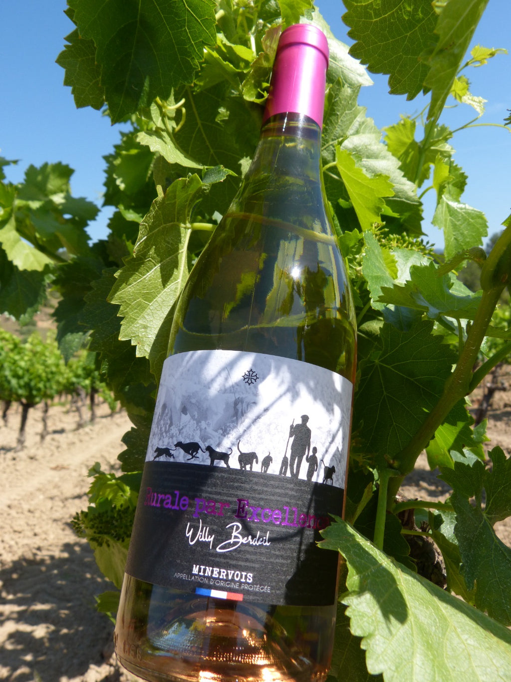 Vin ROSÉ : Carton de 6 x 75cl - édition limitée
