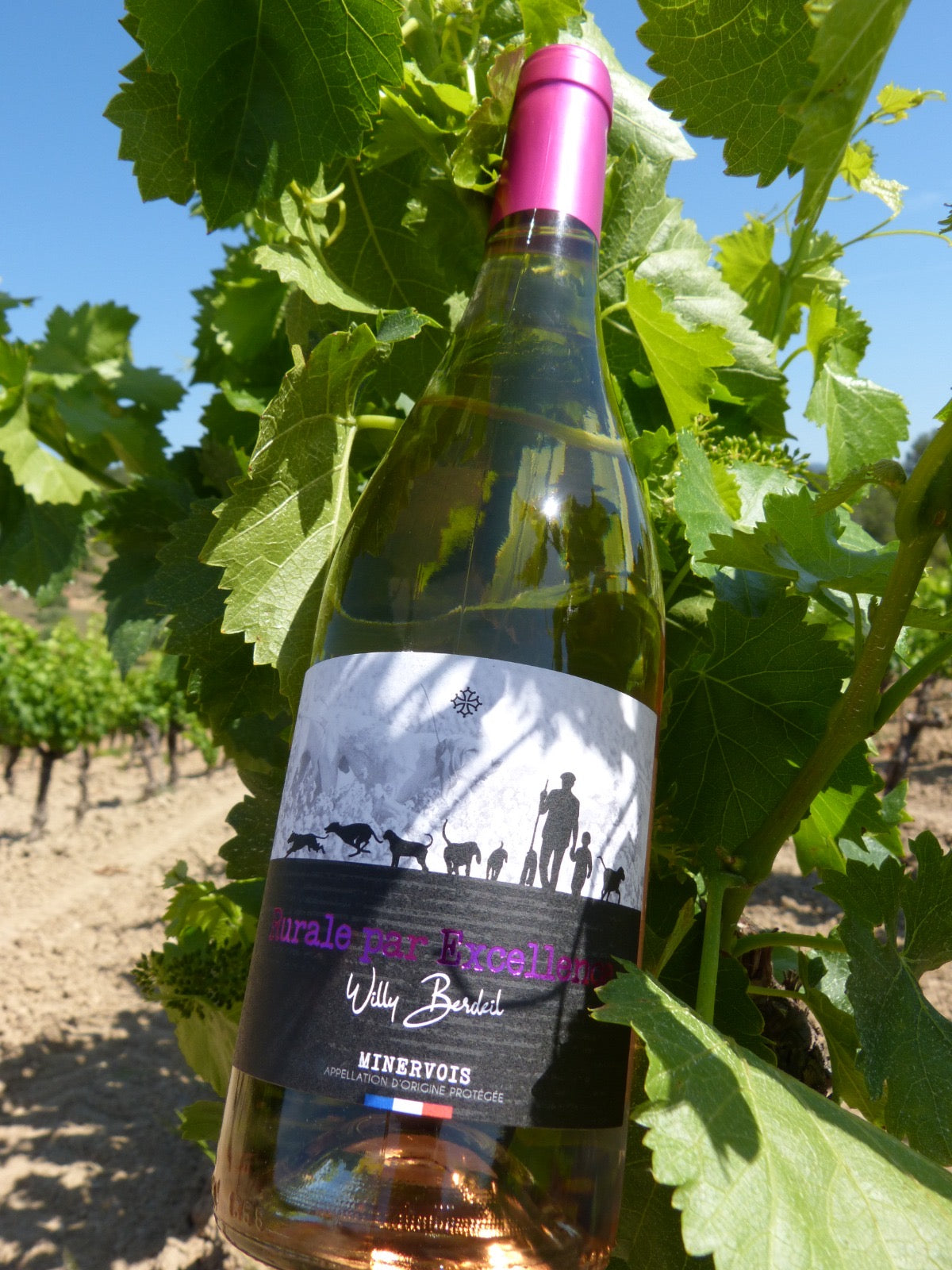 Vin ROSÉ : Carton de 6 x 75cl - édition limitée